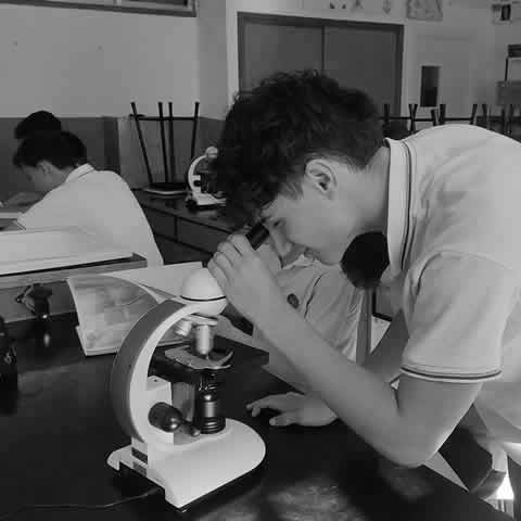 Educación Secundaria